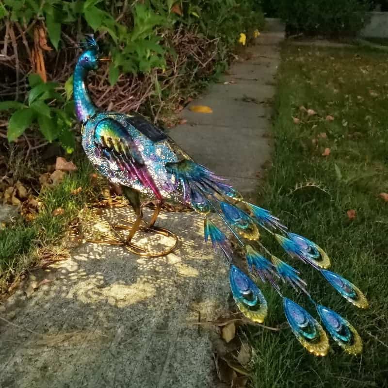 Pavo Real Solar