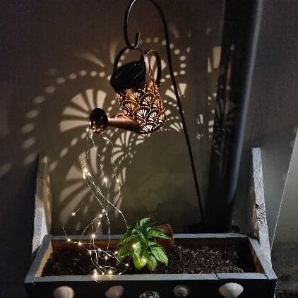 Regadera Solar Decorativo Motivo Abanicos