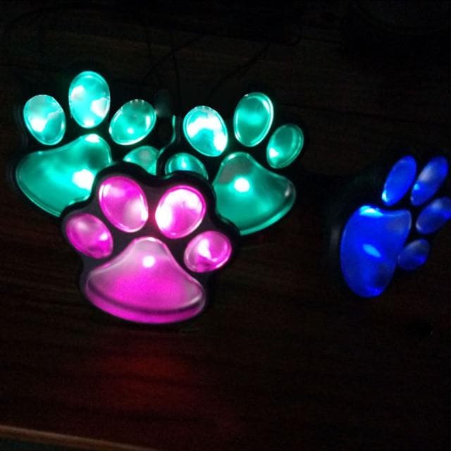 Luz Solar Exterior Decorativa Pata De Oso Luminosa