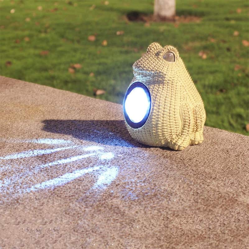 Animal Solar Rana Luminosa De Jardín