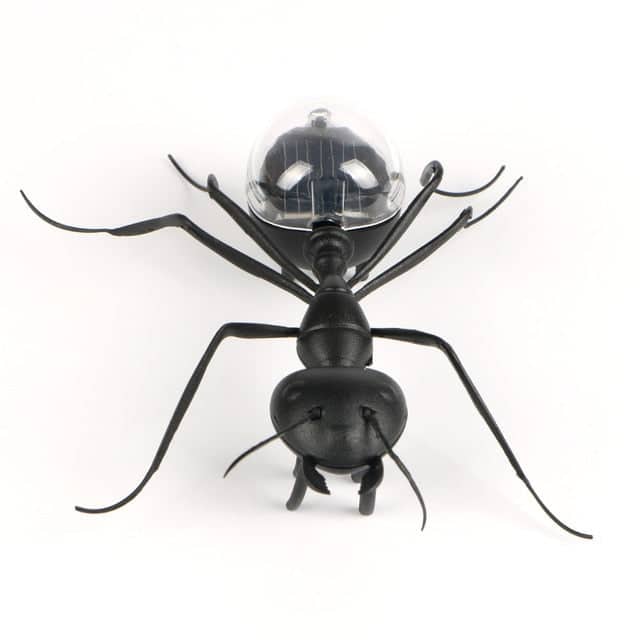 Solar Gadgets Hormiga Negra