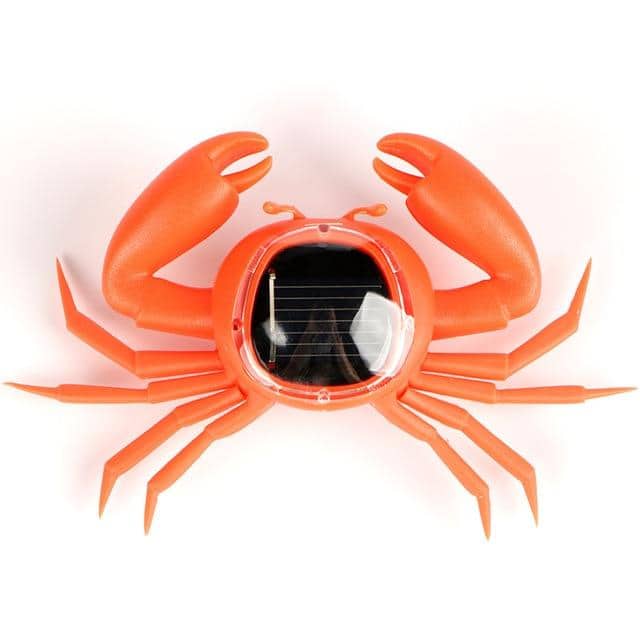 Animal Solar Cangrejo De Mar
