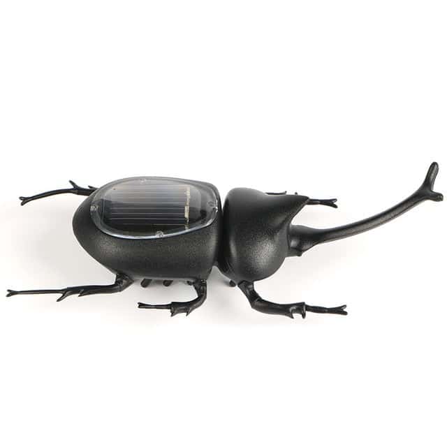 Solar Gadgets Escarabajo Negro