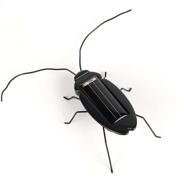Animal Solar Cucaracha Negra